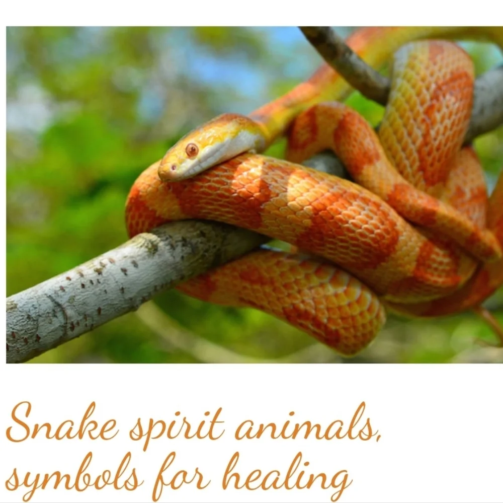 Snake 🐍 Chocker - Picture 10 of 12